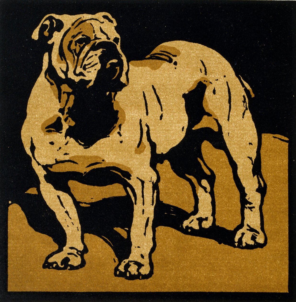 Le Bulldog Britannique, de 