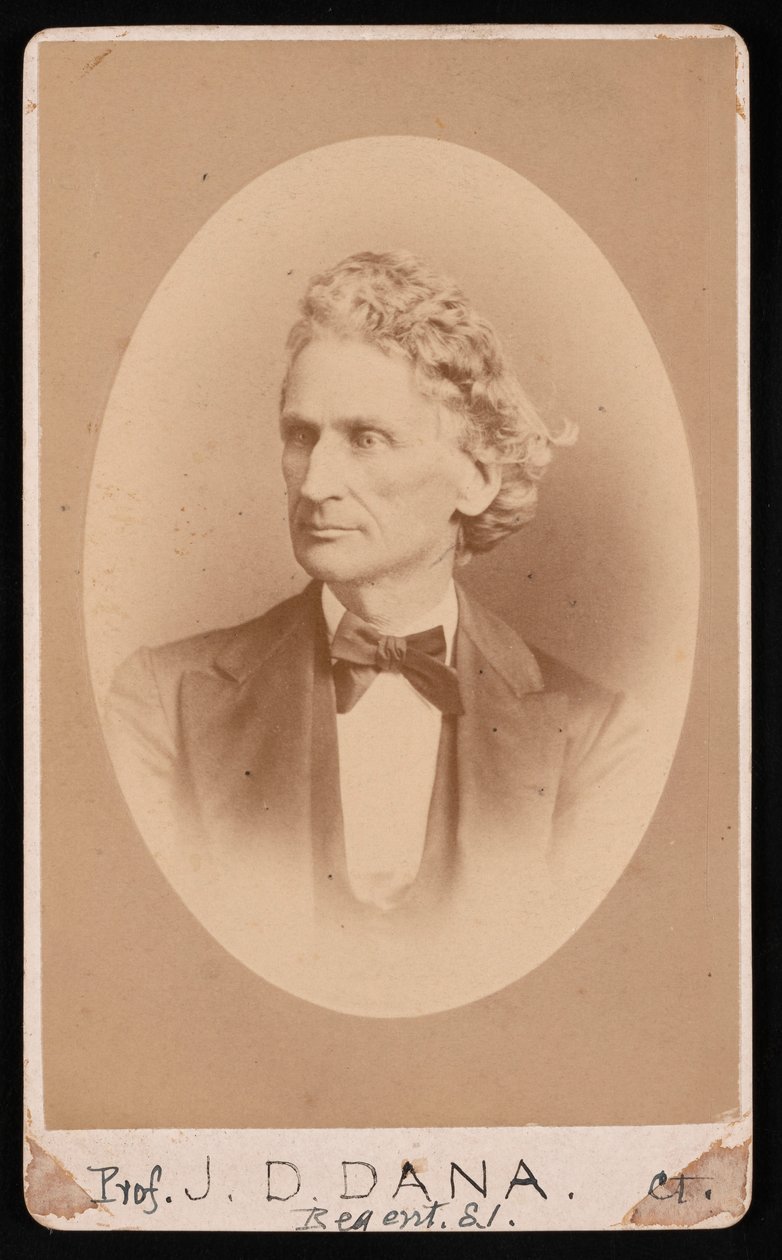 Portrait de James Dwight Dana - William Notman