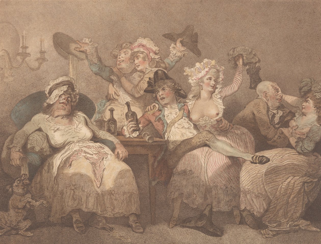 Esquisse de la nature, 24 janvier 1784 - William Paulet Carey