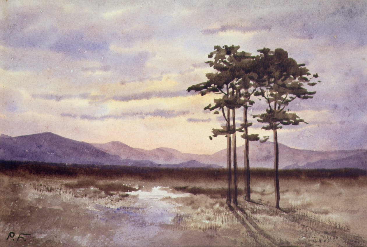 Coucher de soleil, Comté de Sligo - William Percy French