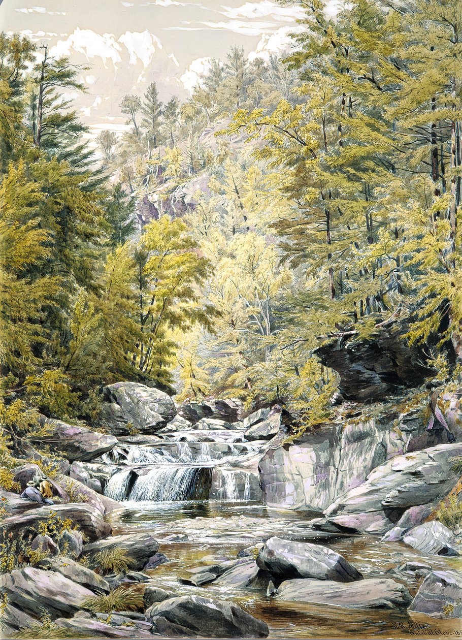 Catskill Clove, 1856 - William Rickarby Miller
