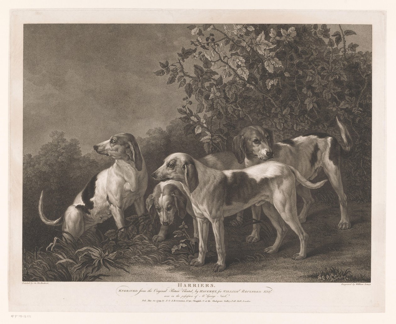 Quatre chiens de chasse - William Satchwell Leney