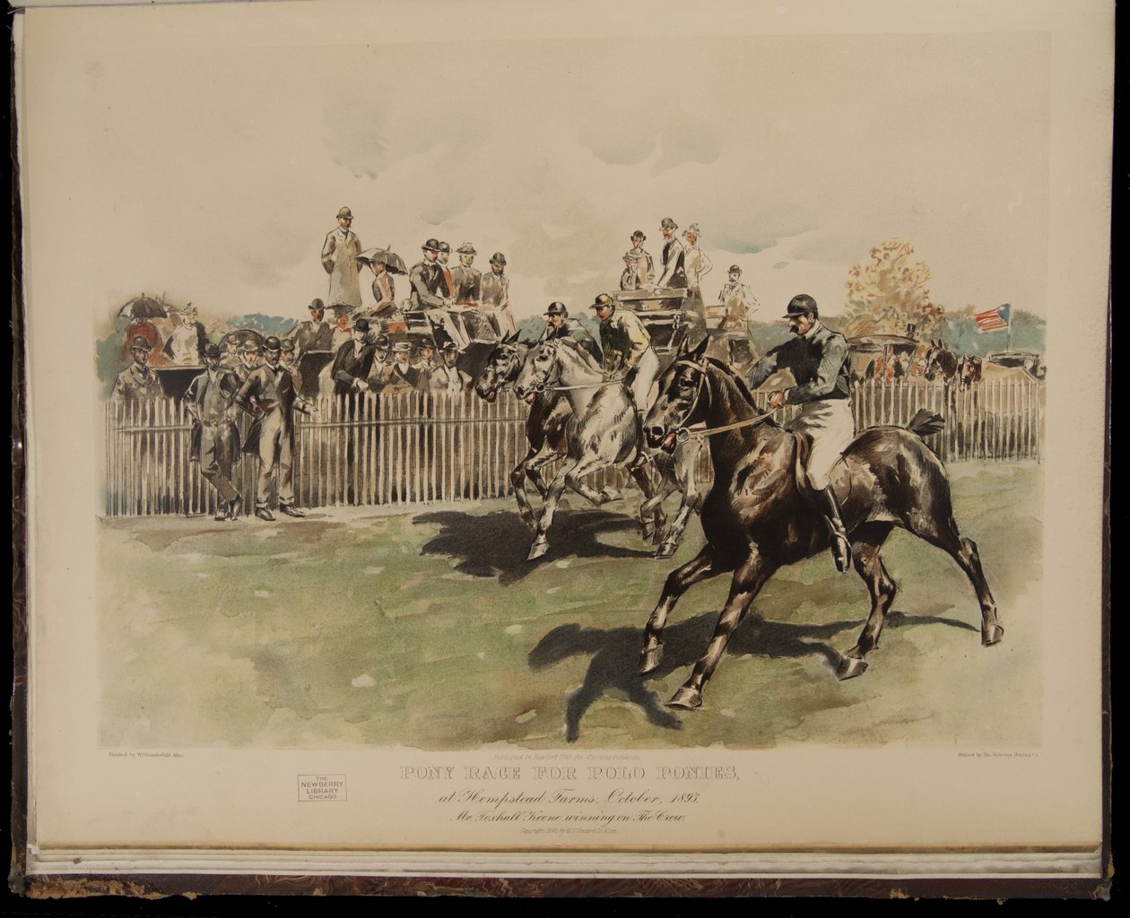 Course de poneys pour le polo - William Sullivant Vanderbilt Allen