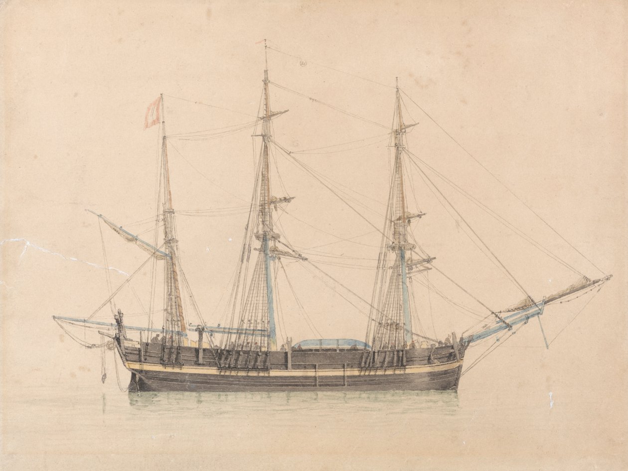 Le Baleinier "Truelove" de Hull - William Ward