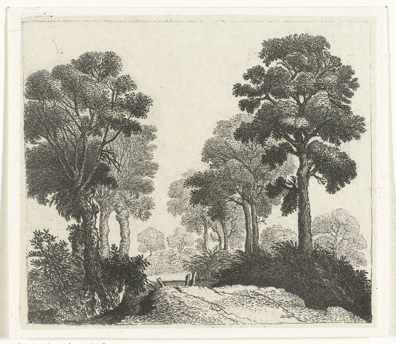 Paysage avec arbres le long d