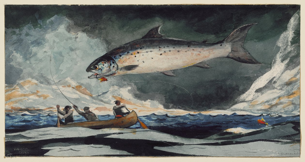 Un beau bassin, la rivière Saguenay - Winslow Homer