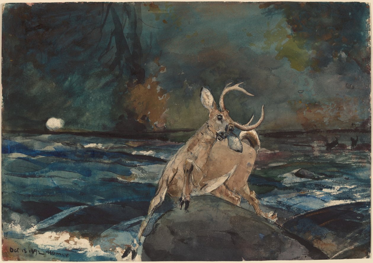 Un bon coup, Adirondacks - Winslow Homer