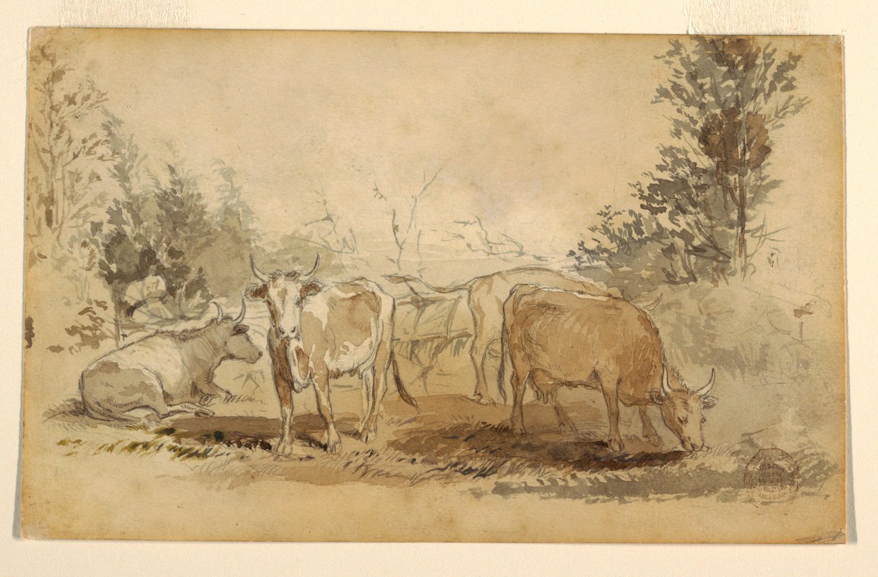 Dessin, Quatre vaches broutant dans un pâturage, vers 1855-60 - Winslow Homer