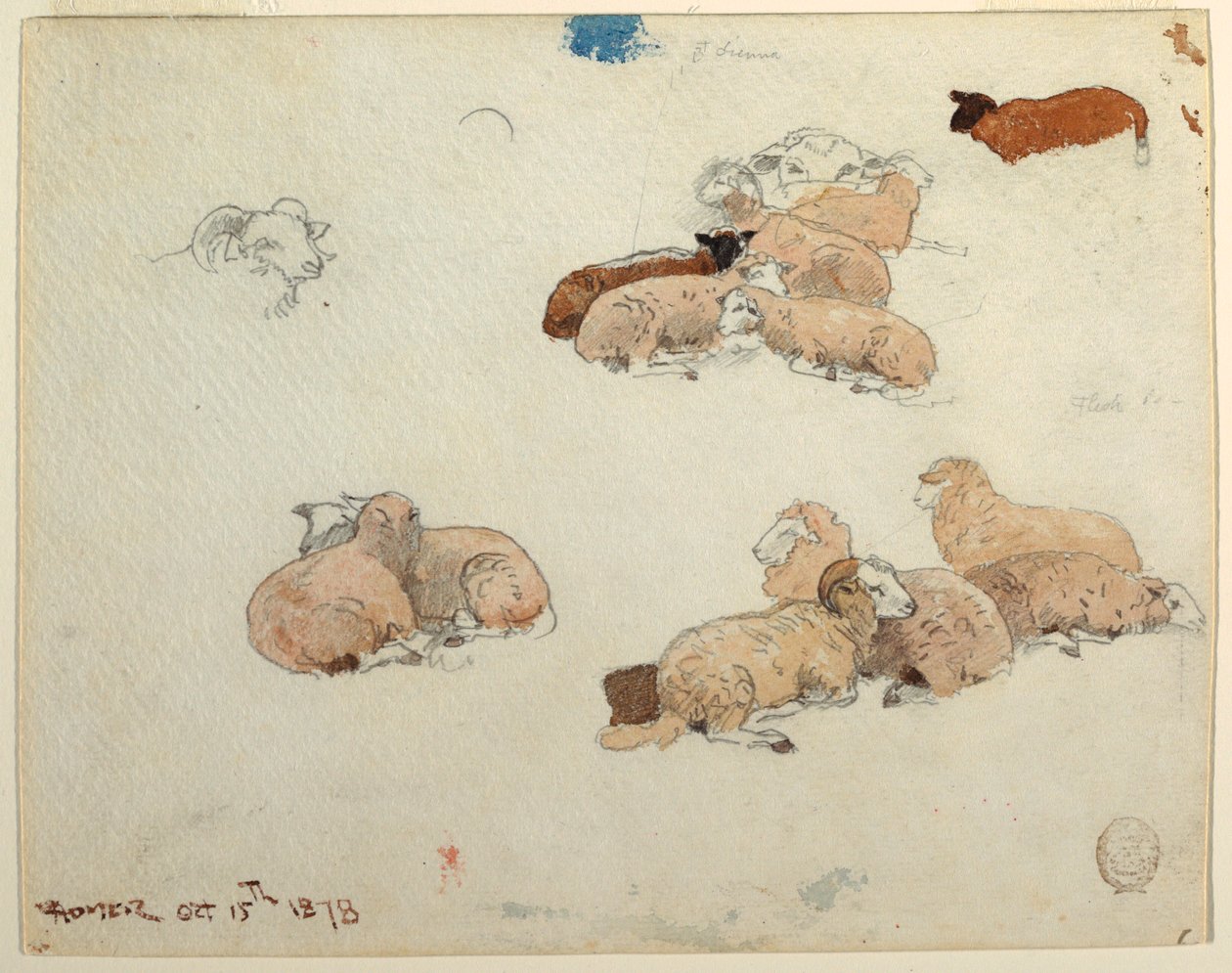 Dessin, moutons au repos, 15 octobre 1878 - Winslow Homer