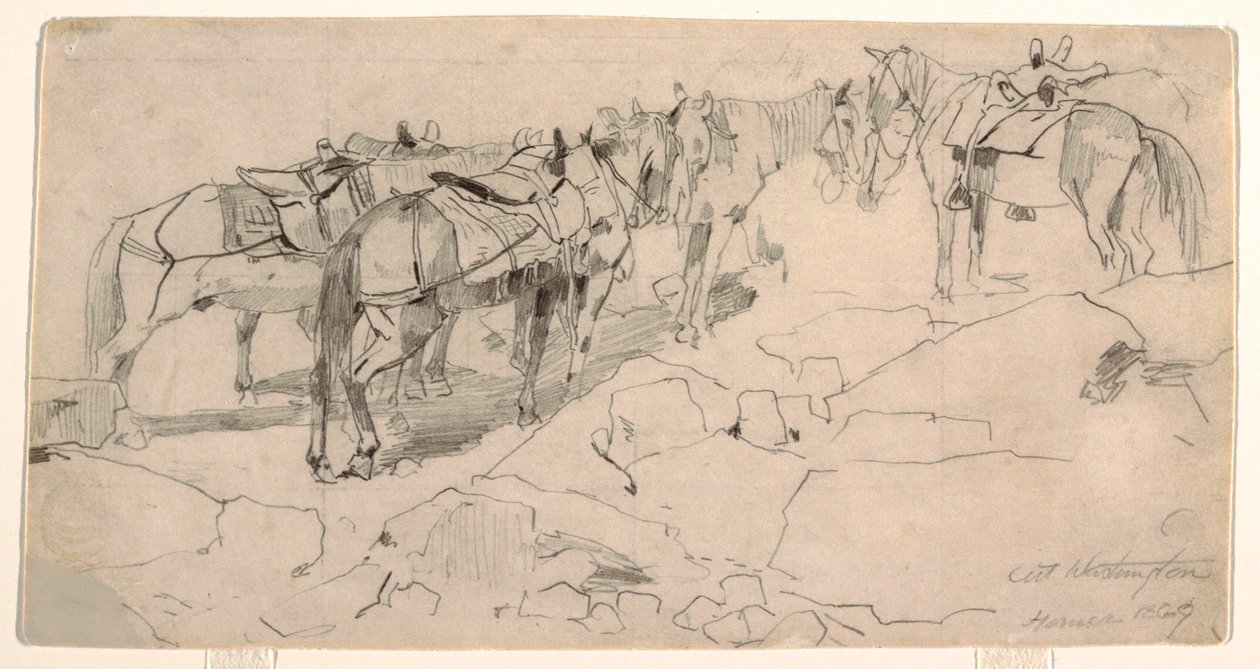 Dessin, étude pour "Mount Washington" et "The Summit of Mt. Washington", 1869 - Winslow Homer