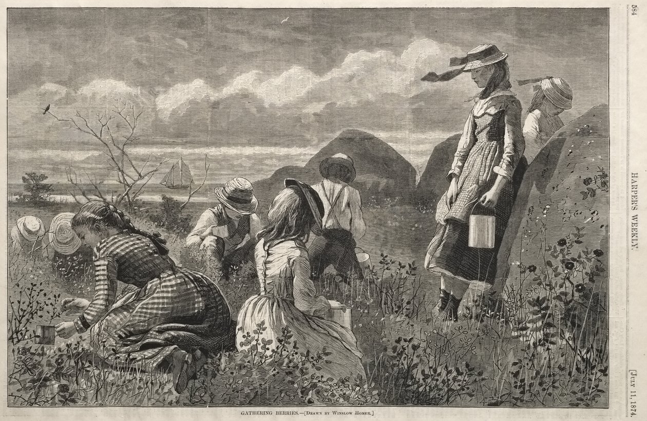Cueillette de baies - Winslow Homer