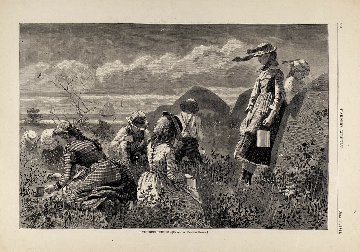 La cueillette des baies, tiré de Harper