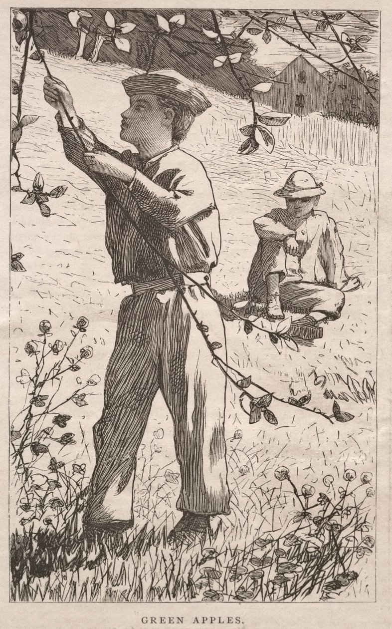 Pommes vertes - Winslow Homer