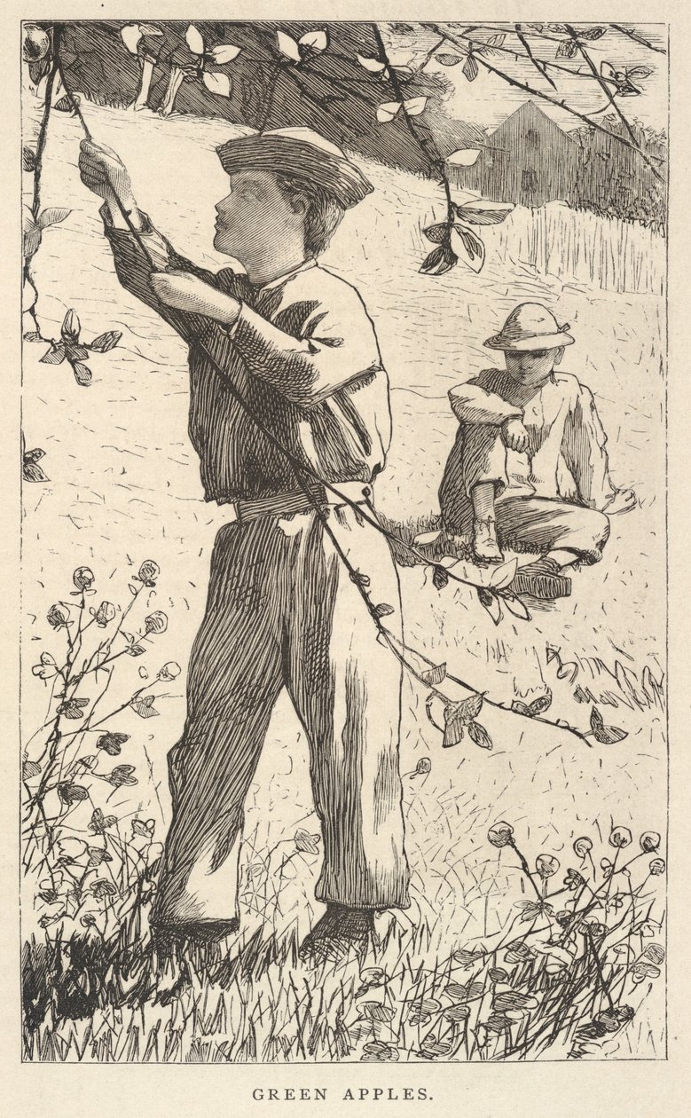 Green Apples, tiré de Our Young Folks, août 1868 - Winslow Homer