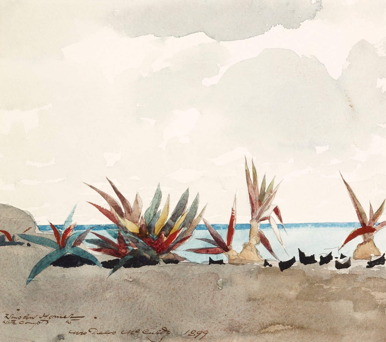 Plage de Nassau avec des agaves - Winslow Homer