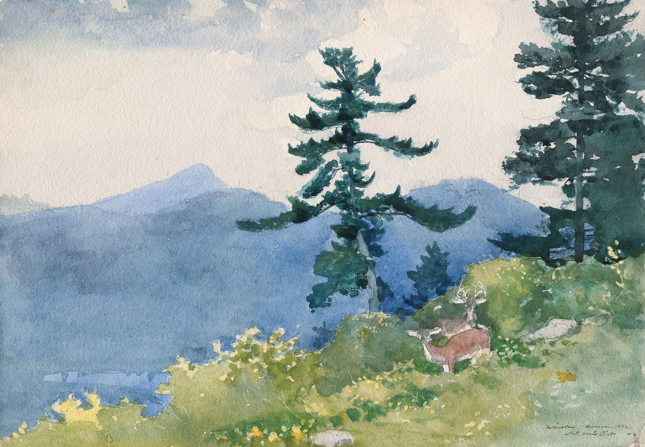 North Woods Club, Adirondacks (La Tête-à-tête interrompue) - Winslow Homer