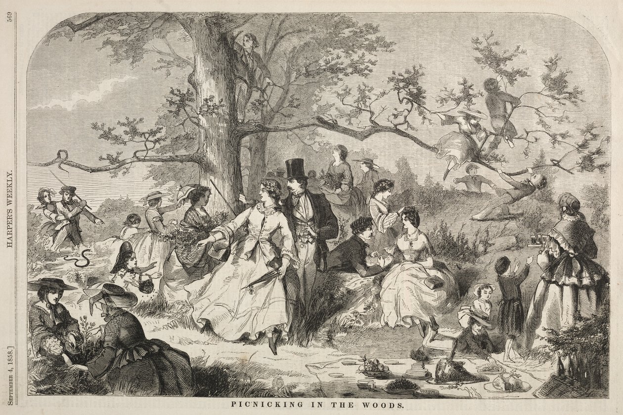 Pique-nique dans les bois - Winslow Homer