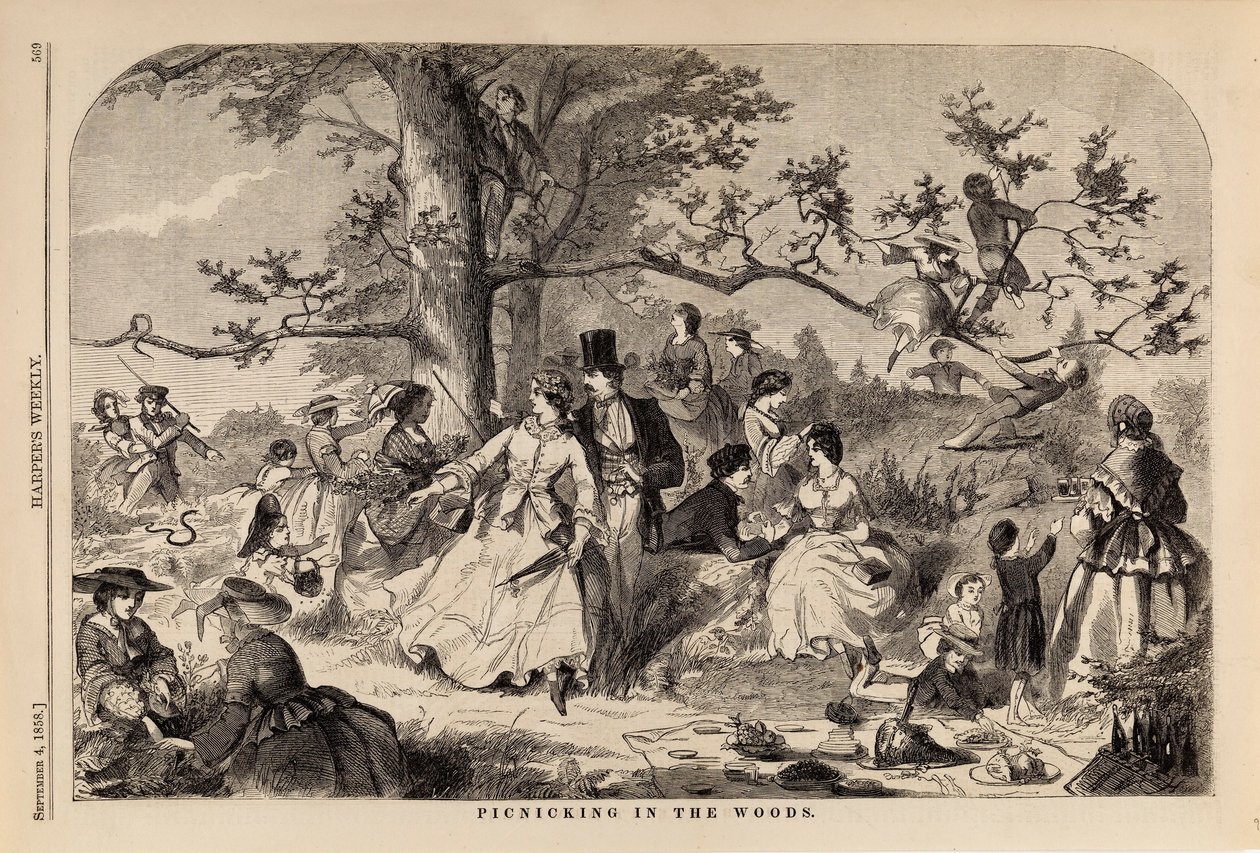 Pique-nique dans les bois, tiré de Harper