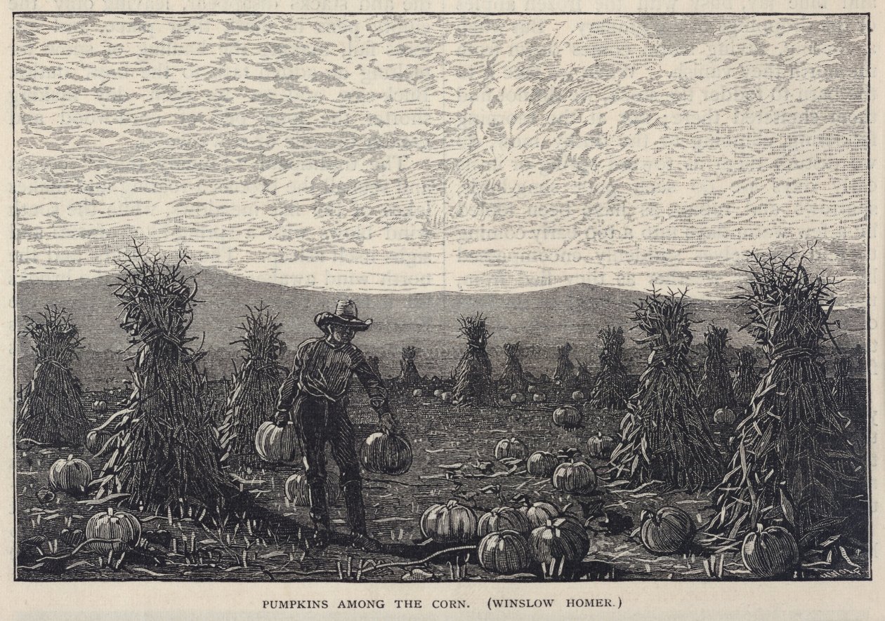 Pumpkins Among the Corn, tiré de Scribner