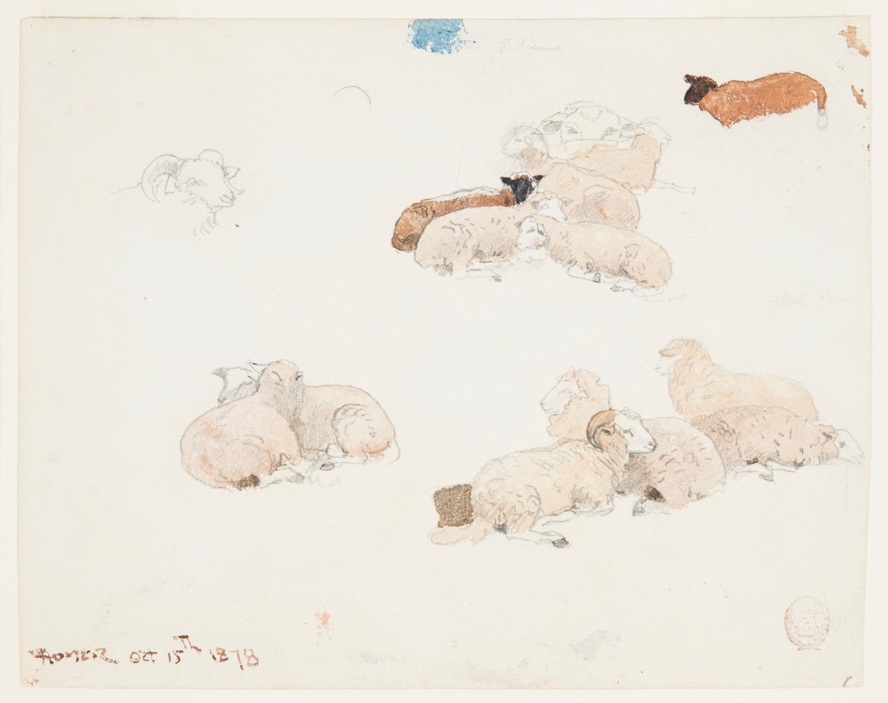Moutons au repos - Winslow Homer