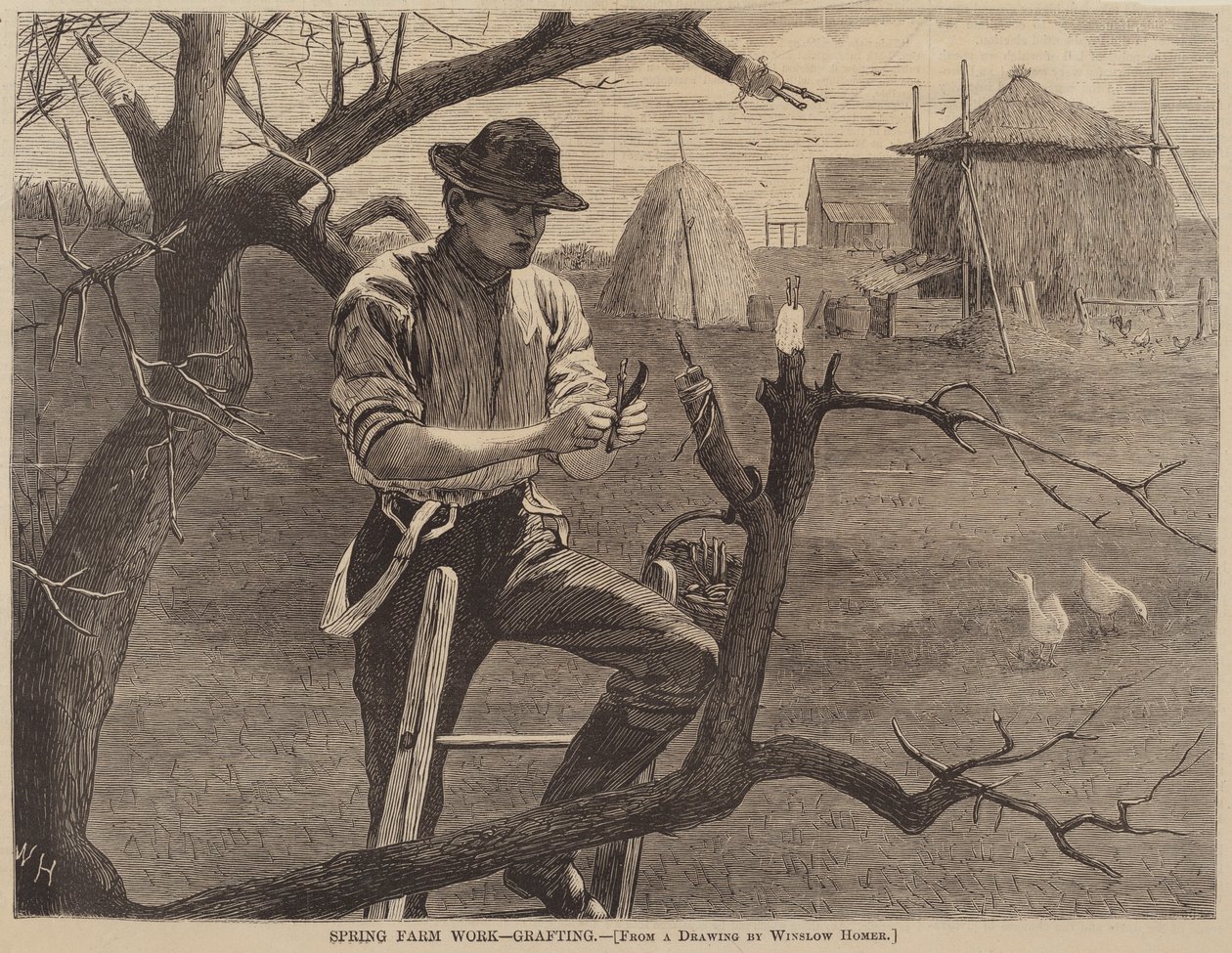 Travail agricole de printemps - Greffage, publié en 1870 - Winslow Homer