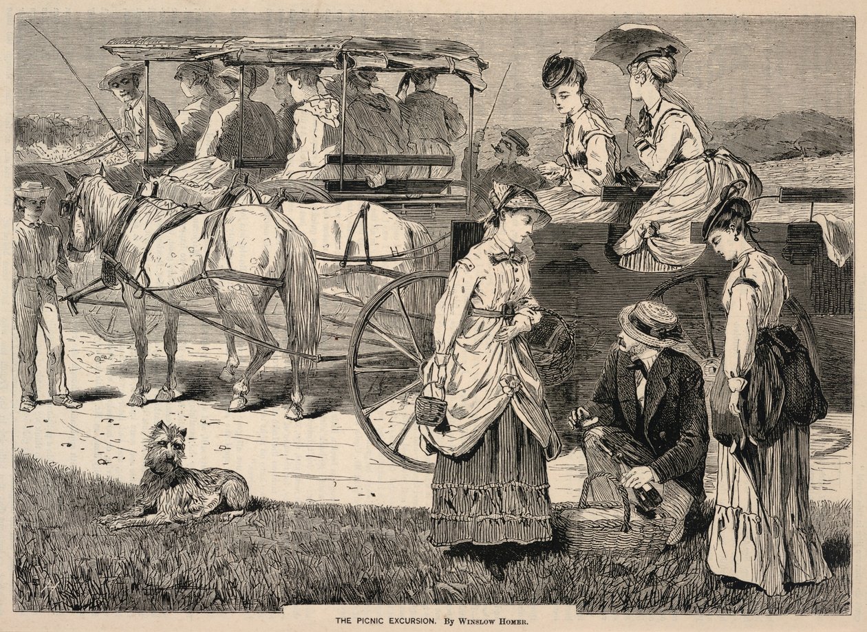 The Picnic Excursion, tiré de Appletons