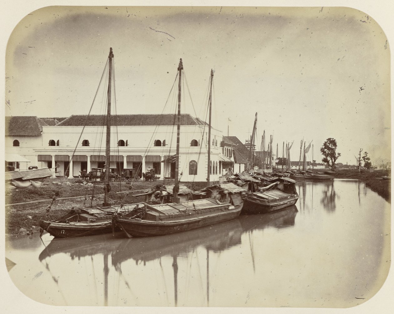 Grand arbre au canal du port à Batavia - Woodbury and Page