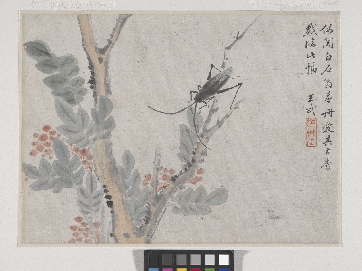 Insecte et arbre après Shen Zhou - Wu Wang