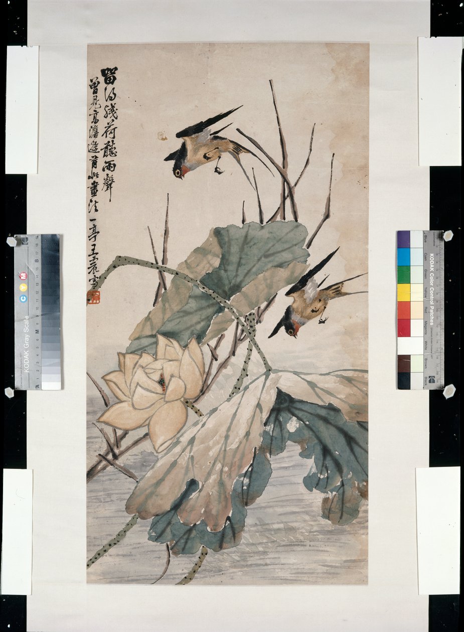 Écouter la pluie après que le lotus a fané - Yiting Wang