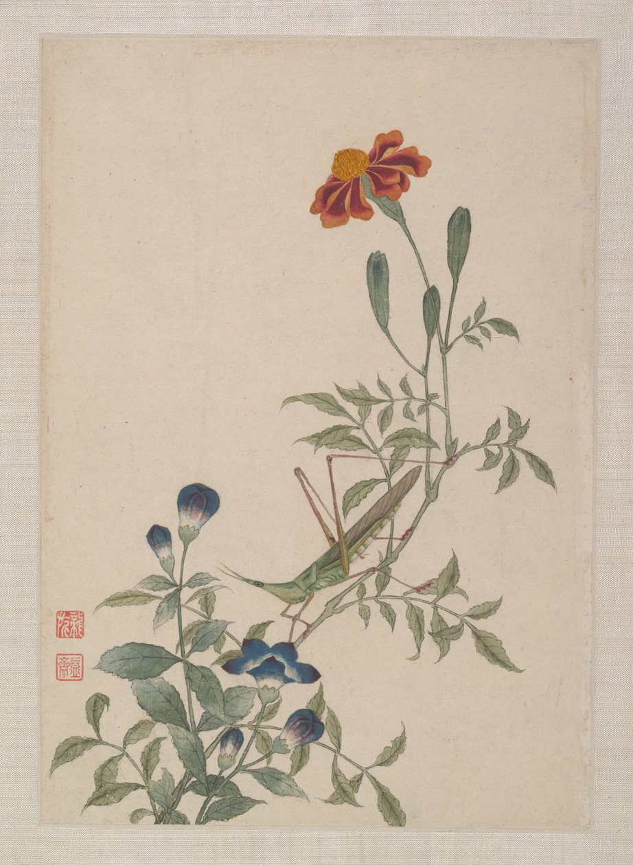 Oiseaux, insectes et fleurs - Zhai Yi