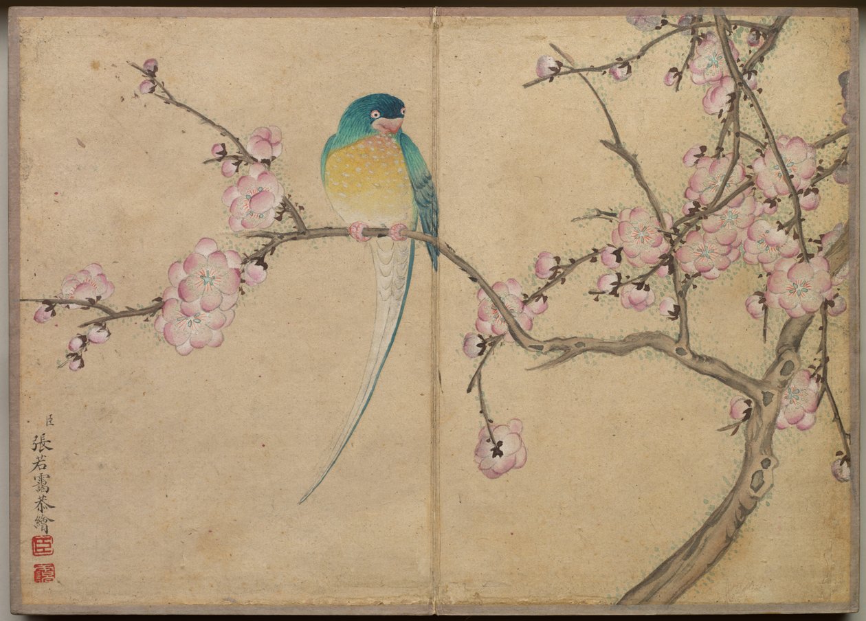 Album de bureau : Peintures de fleurs et d
