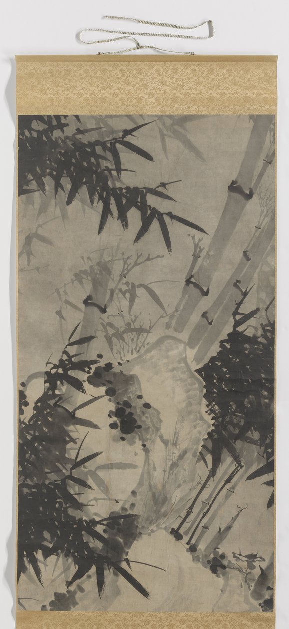 Bambou - Zhengxing (bijnaam Wuzhai)