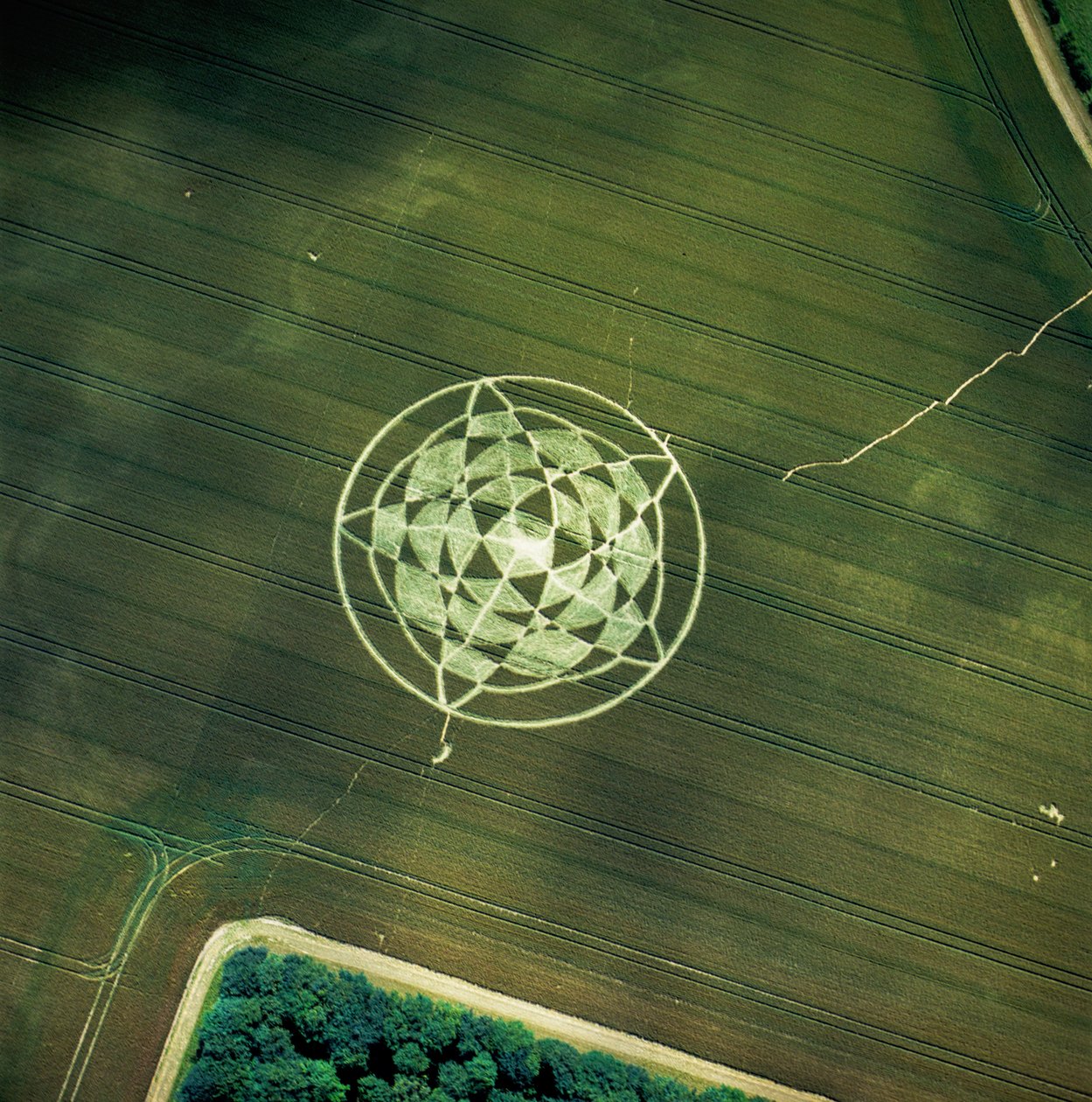 Cercle de culture dans un champ de blé, Avebury Henge, Wiltshire, 22 juin 2002 (photographie aérienne) - Ferdinand Georg Waldmuller