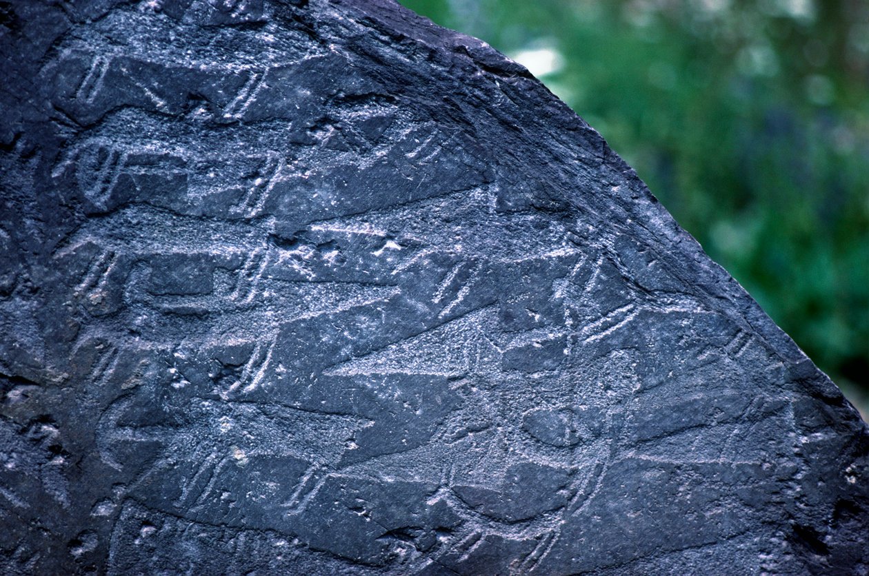 Gros plan des dessins rupestres dans le parc national de Naquane - Isabel Redie