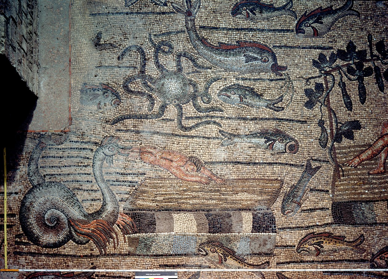 Jonas recraché par la baleine, détail d