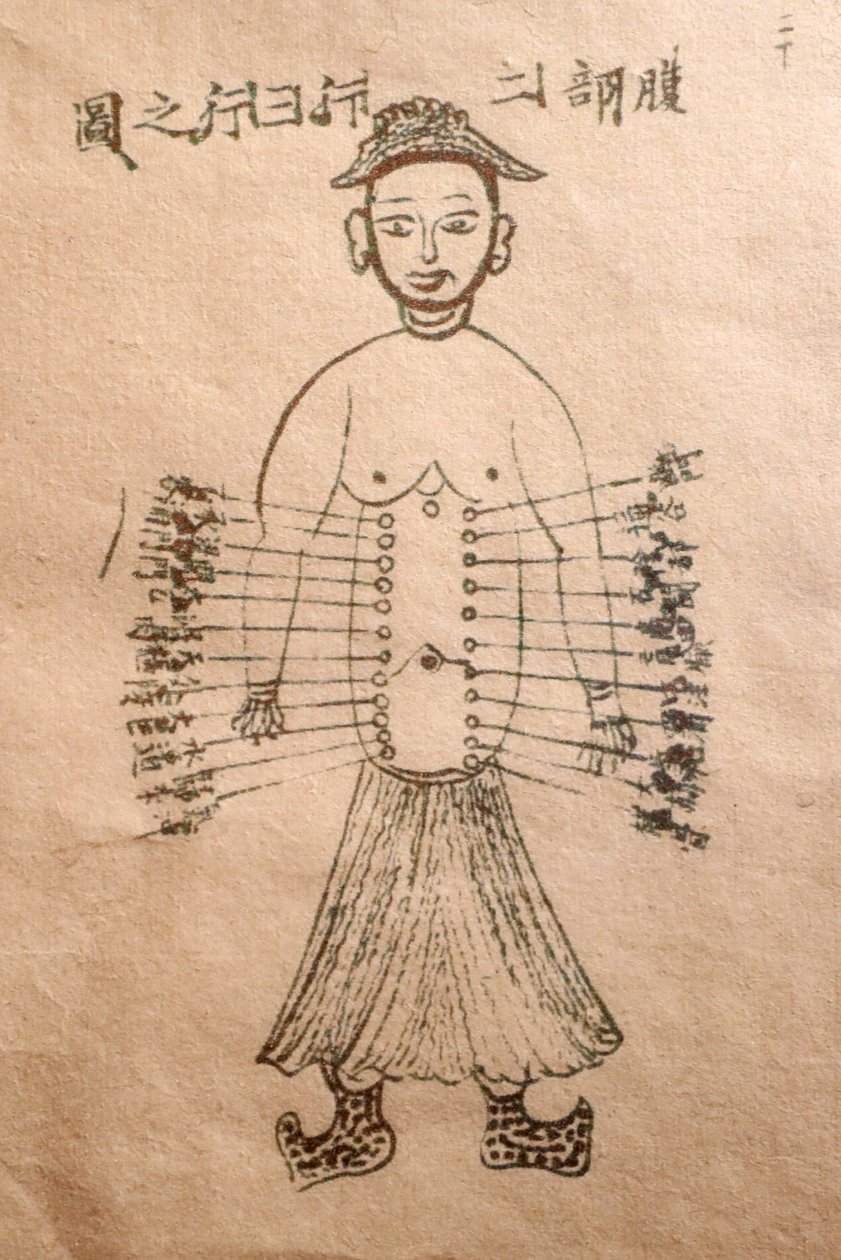 Musée de la Médecine Traditionnelle Vietnamienne, Les canaux et vaisseaux, Livre d