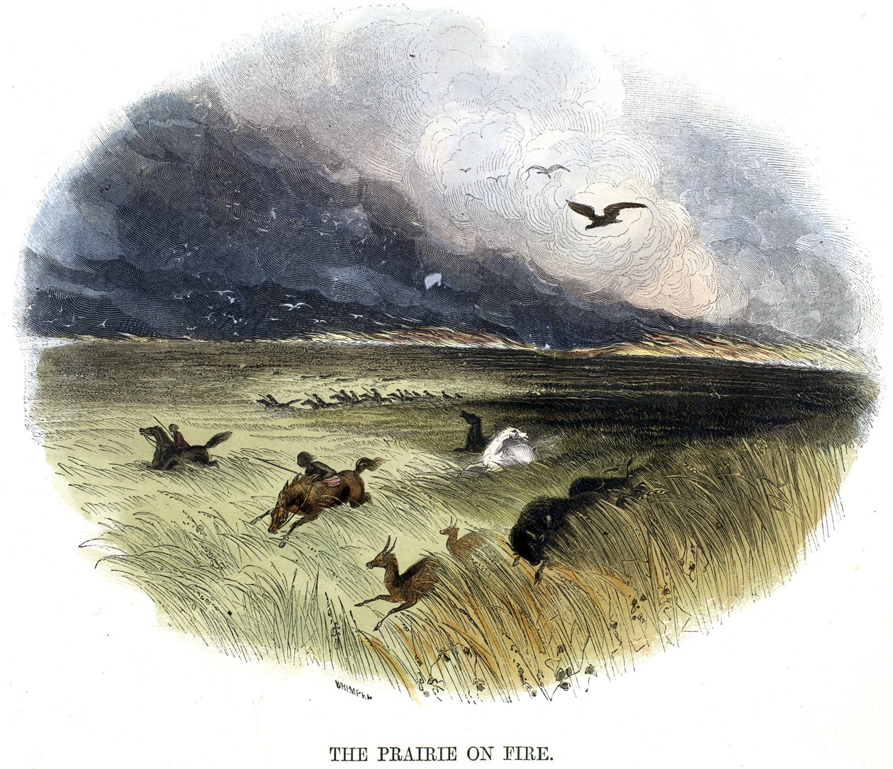 Prairie en feu - Frederick (attr. to) Barnard