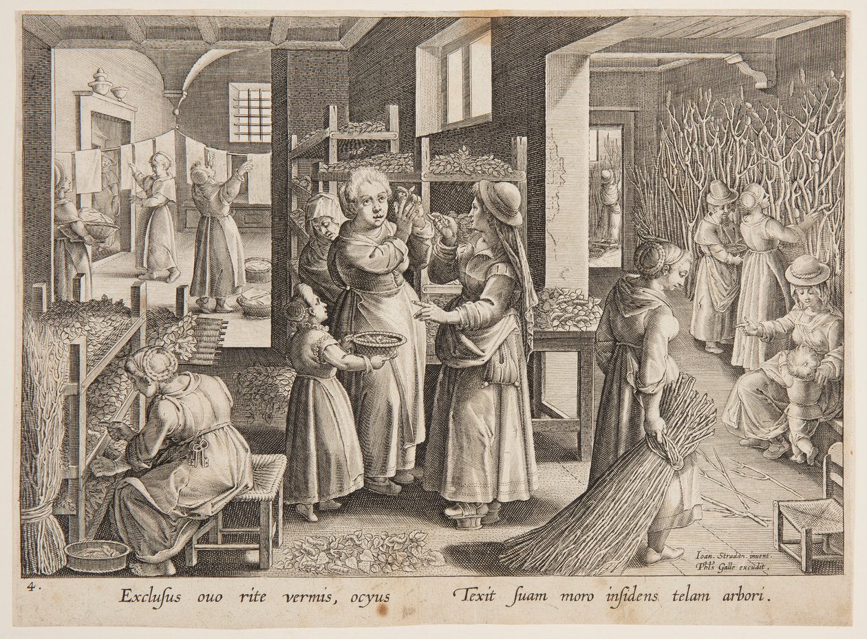 Nourrir les vers à soie avec des feuilles de mûrier - after Jan van der Straet, called Stradanus