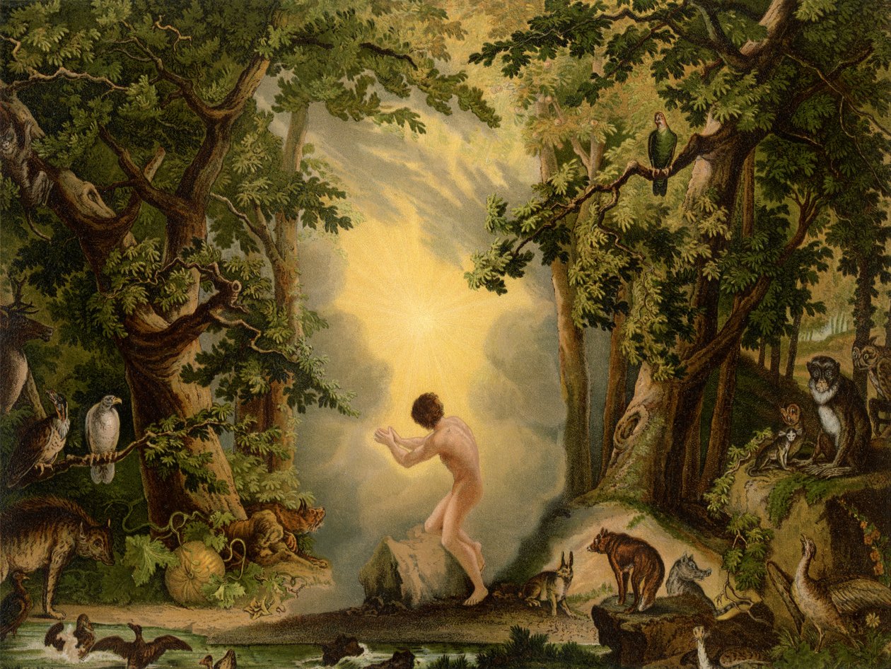 La Création d