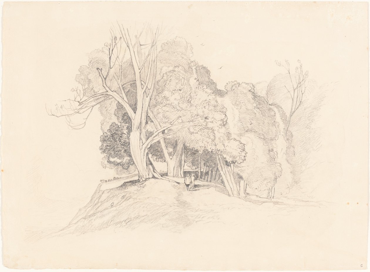 Paysage avec des arbres - after John Sell Cotman British 19th Century