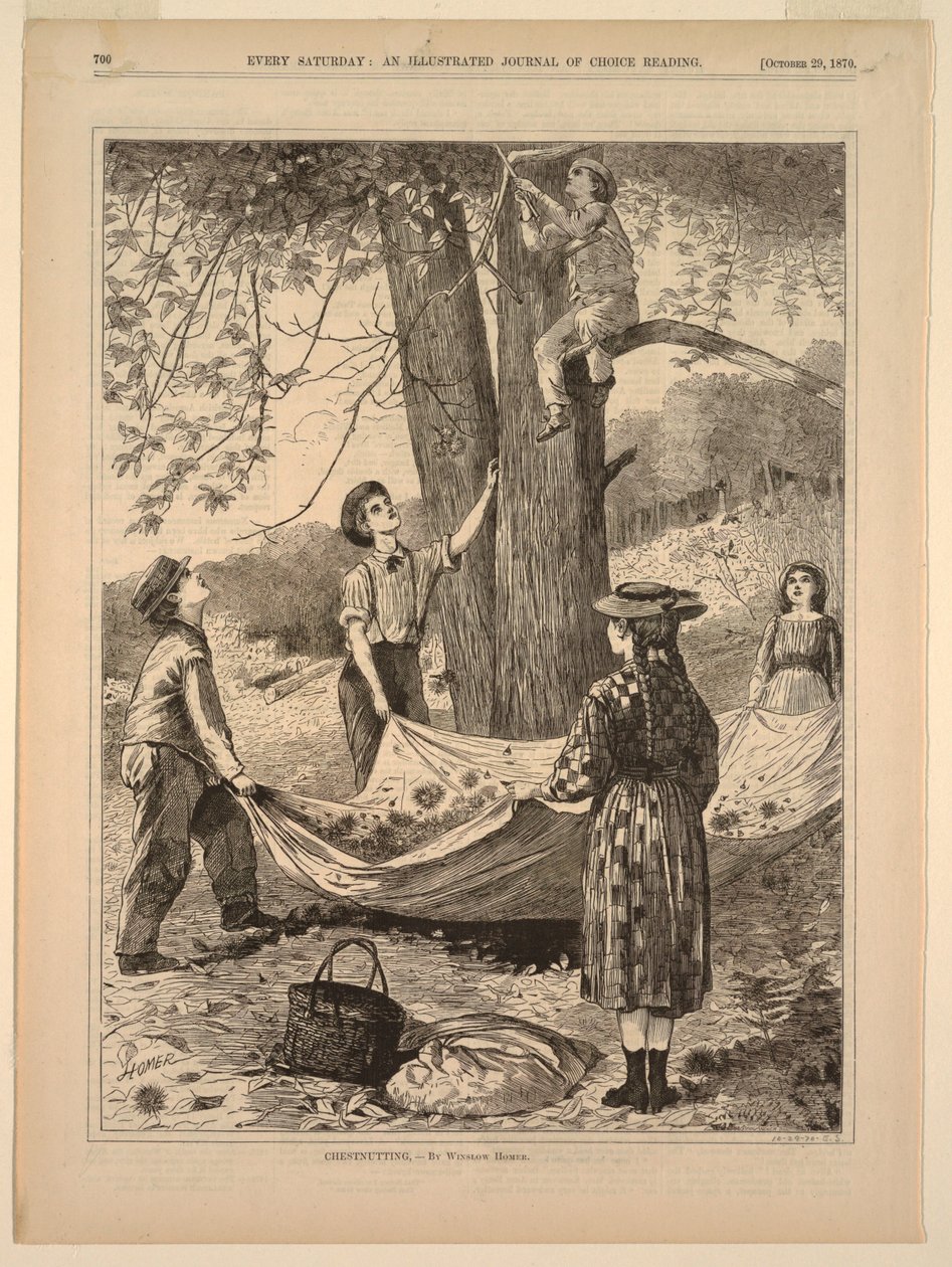 Récolte de châtaignes - Winslow Homer
