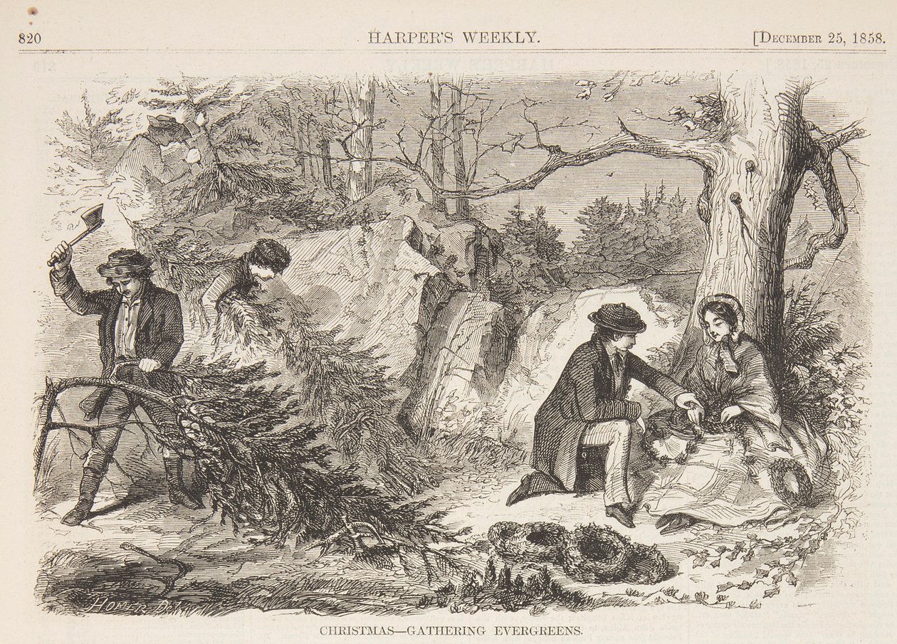 Noël – Récolte de verdure - after Winslow Homer