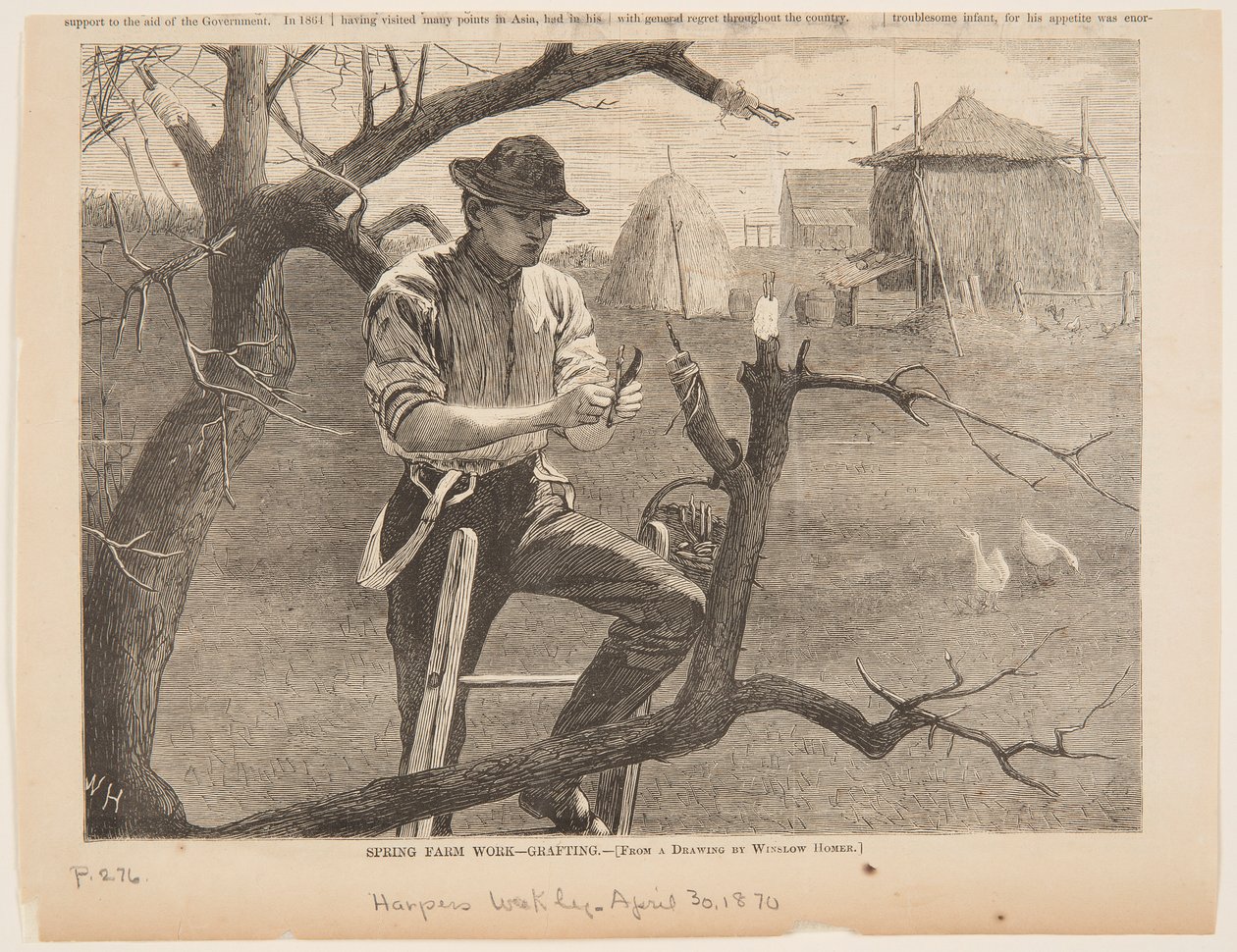 Travail agricole de printemps – Greffage - after Winslow Homer