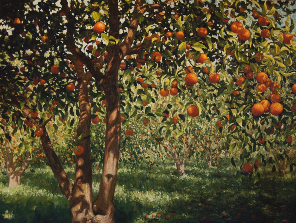 Silence sous les oranges II, 2012 - angus hampel
