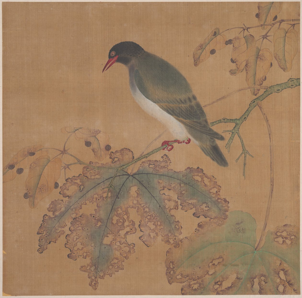 Oiseau sur une branche - anonymous 