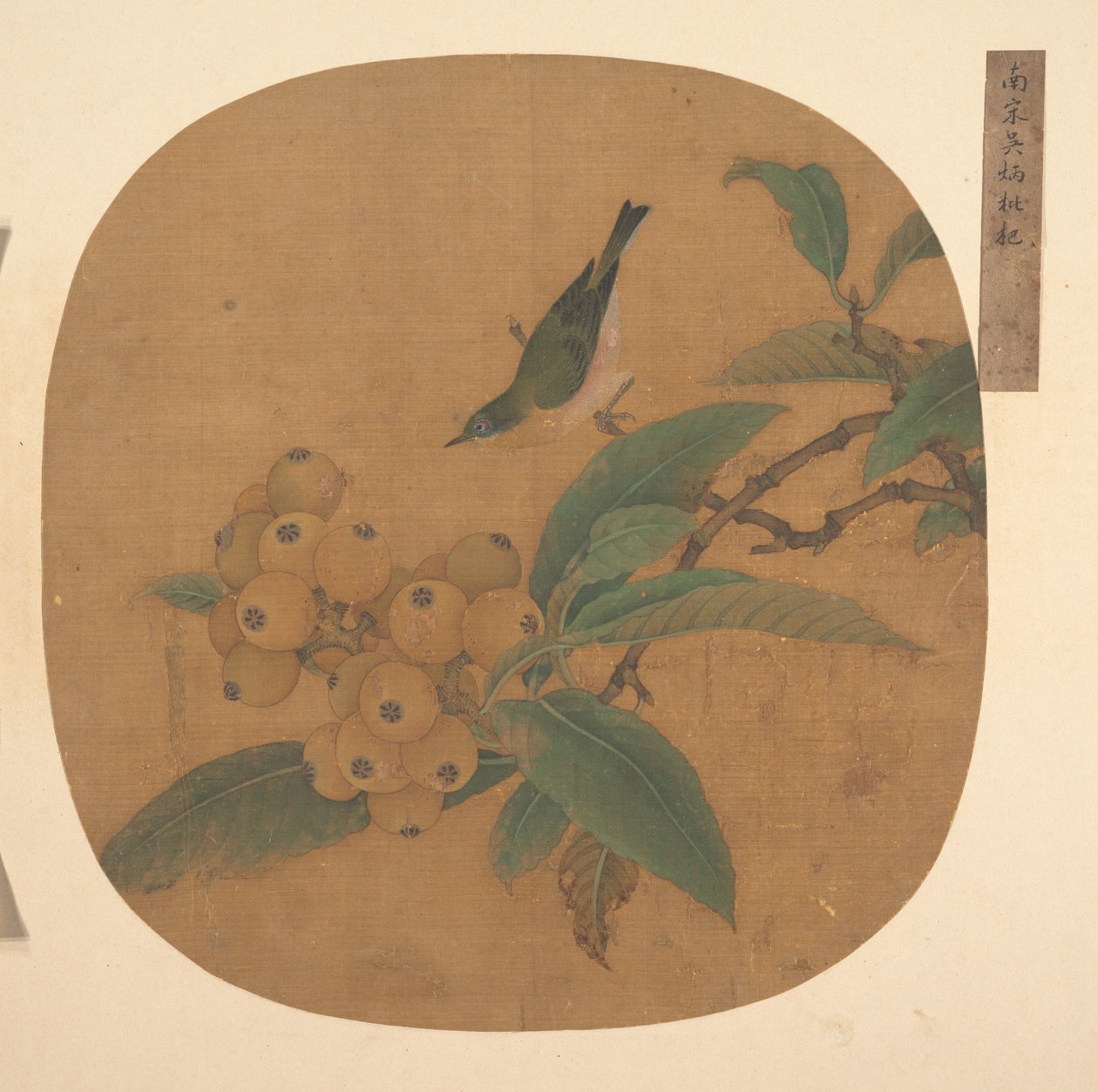 Oiseau sur un loquat - anonymous 