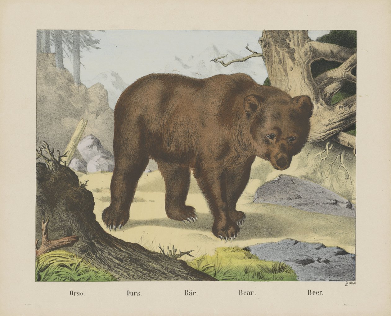 Ours - firma Joseph Scholz