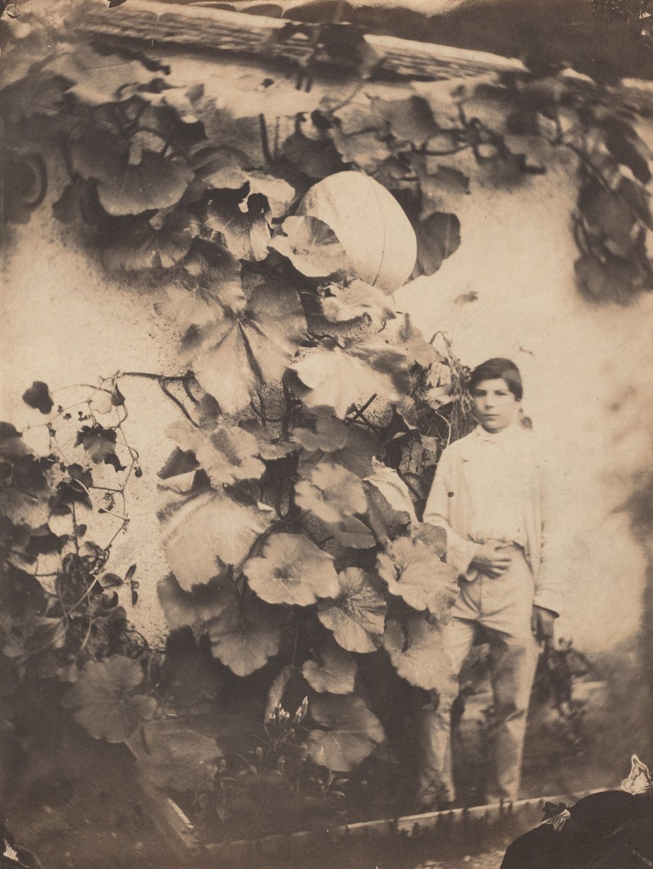 Garçon avec une vigne de citrouille,1854 (photo) - freres Varin