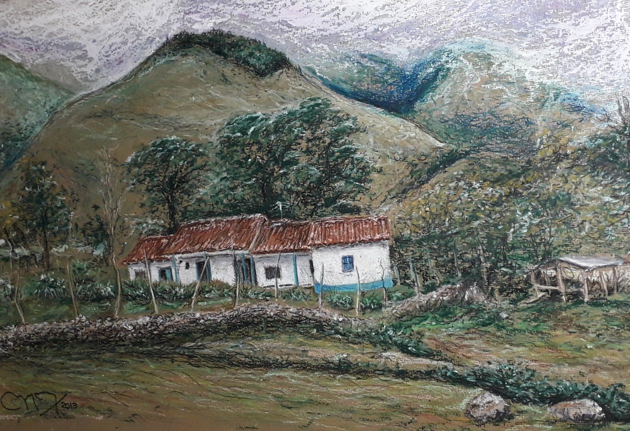 Paysage andin - Llano Largo Venezuela - miguelmendez_art.ve