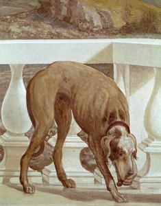 Chien sur un balcon (détail)